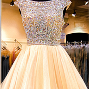 Homecoming Dress, Short Sleeve Prom Dress, Tulle..