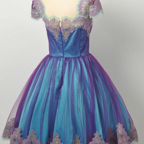 Homecoming Dresses Ball Gown Prom Dress,short..