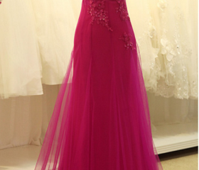 Long Sleeves Tulle Dresses with Appliqued Cinnamon Rose