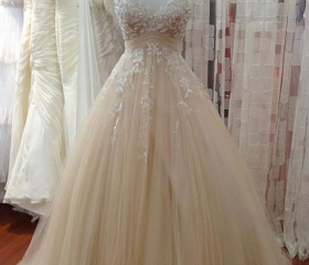 Niulatu Sheath Spaghetti Straps Champagne Prom Dresses Birthday Outfits Evening Gown SD931