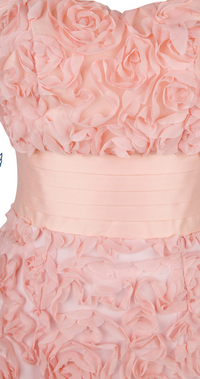 Robe De Bal/mariée River Island Rose Fleurie - Taille 10 (EU 36) - Neuve Avec étiquette